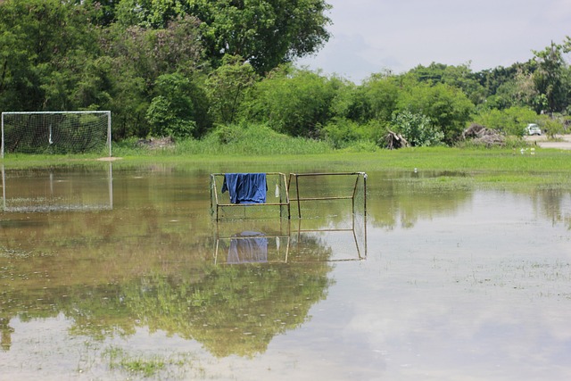 为他们的进 为他们的进