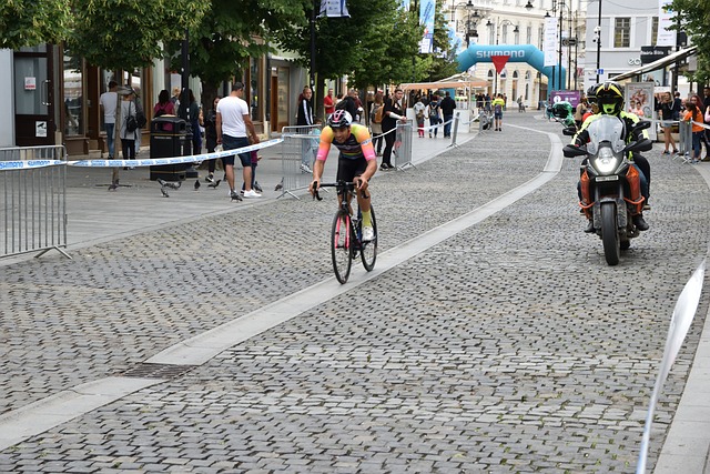 的专业实力 的专业实力